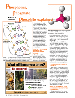 hosphorus, hosphate, explained hosphite