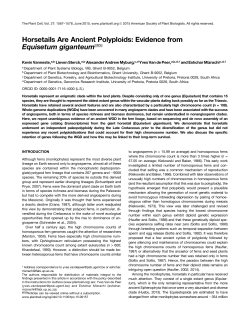 Horsetails Are Ancient Polyploids: Evidence from Equisetum