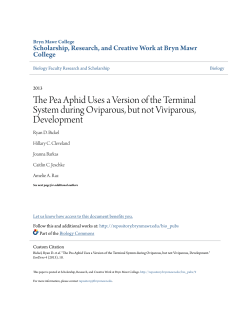 The Pea Aphid Uses a Version of the Terminal System during