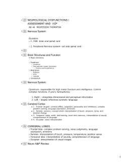 NEUROLOGICAL DYSFUNCTIONS I Assessment