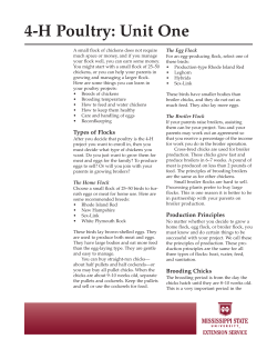 p0255 4-H Poultry: Unit One