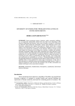 diversity of endolithic prokaryotes living in stone monuments
