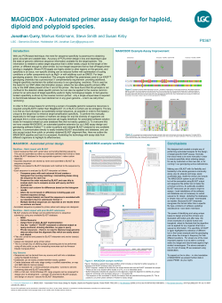MAGICBOX - Automated primer assay design for haploid, diploid