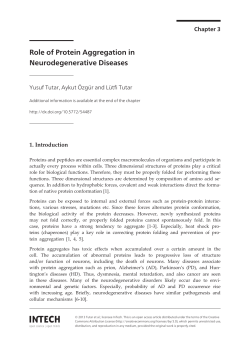 Role of Protein Aggregation in Neurodegenerative