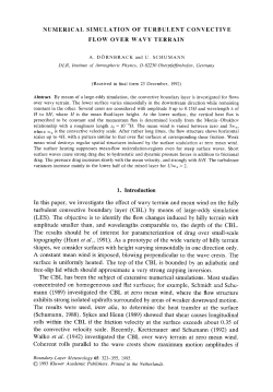 Numerical simulation of turbulent convective flow over wavy terrain