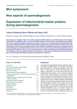 Mini symposium New aspects of spermatogenesis Expression of