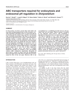 Cell-cycle dependent vesicle fusion - Bio
