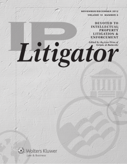 Online Behavioral Advertising: A User`s Guide, IP Litigator
