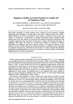 Regulatory Studies on Citrate Synthase in Candida