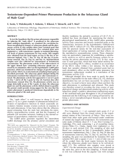 Testosterone-Dependent Primer Pheromone Production in the