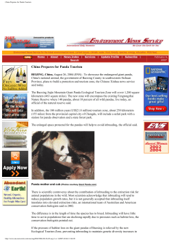 China Prepares for Panda Tourism