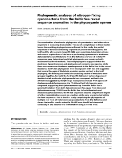 Phylogenetic analyses of nitrogen-fixing cyanobacteria from the
