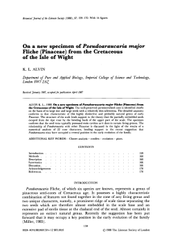 from the Cretaceous of the Isle of Wight