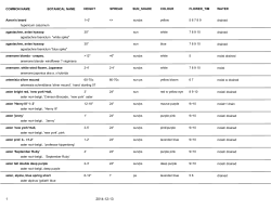 COMMON NAME BOTANICAL NAME HEIGHT SPREAD