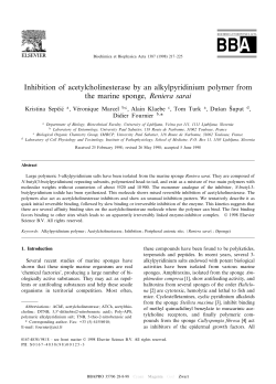 Inhibition of acetylcholinesterase by an alkylpyridinium polymer from