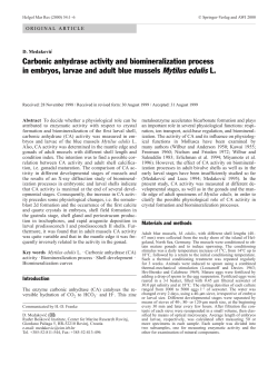 Carbonic anhydrase activity and biomineralization process in