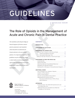 Proposed Guidelines on the Role of Opioids in the