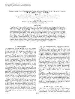 THE DYNAMICAL MORPHOLOGIES OF FLARES