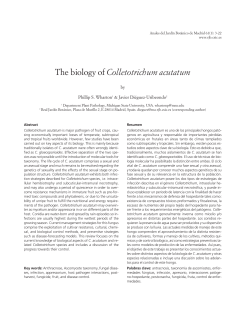 The biology of Colletotrichum acutatum - Real Jard&iacute;n Bot&aacute;nico