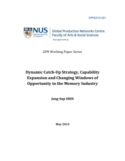 Dynamic Catch-Up Strategy, Capability Expansion and