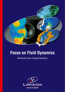 Focus on Fluid Dynamics