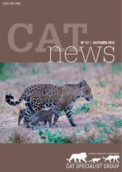 2012 Systematic Survey Efforts of the African Golden Cat