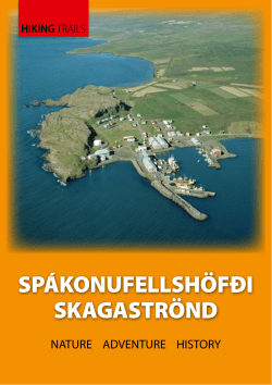 SP&Aacute;KONUFELLSH&Ouml;F&ETH;I SKAGASTR&Ouml;ND