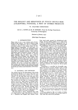 the biology and behaviour of ptinus tectus boie.
