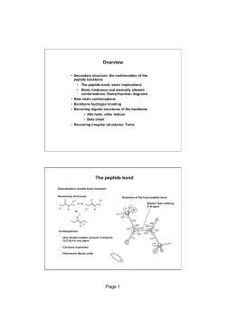 Page 1 Overview The peptide bond