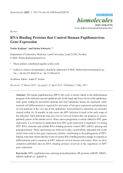 RNA Binding Proteins that Control Human Papillomavirus Gene