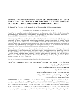 comparative micromorphological characteristics of lower surface of