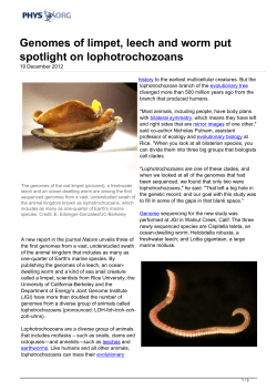 Genomes of limpet, leech and worm put spotlight on lophotrochozoans