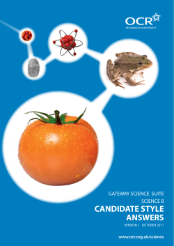 candidate style answers