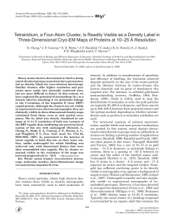 Tetrairidium, a Four-Atom Cluster, Is Readily Visible as a Density