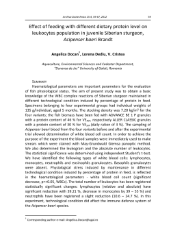 Effect of feeding with different dietary protein