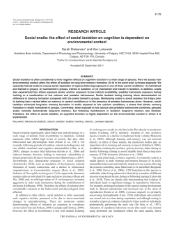 Social snails: the effect of social isolation on cognition is dependent