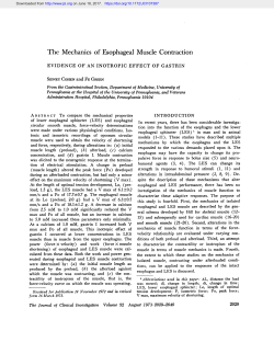 The Mechanics of Esophageal Muscle Contraction