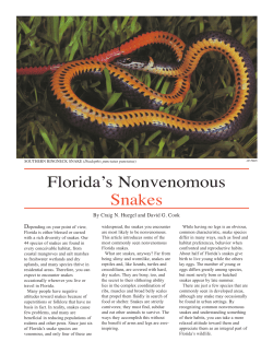 Florida`s Nonvenomous Snakes - Suwannee County Extension Office