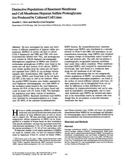 Distinctive Populations of Basement Membrane and Cell Membrane