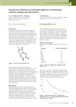 Fluorescence lifetimes of nucleotide oligomers containing the