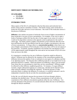 lung volumes and capacities