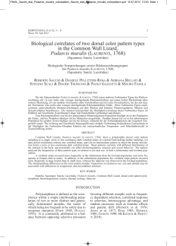 Biological correlates of two dorsal color pattern types in