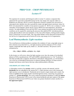 PBIO*3110 - CROP PHYSIOLOGY