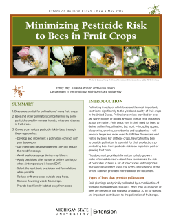 Minimizing Pesticide Risk To Bees In Fruit Crops