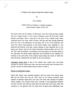 A Report on the Human Bones from Merton Priory