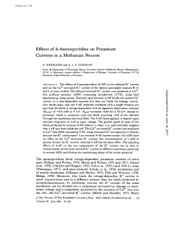 Effects of 4-Aminopyridine on Potassium Currents in a Molluscan