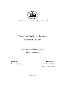 Theoretical Studies on the KcsA Potassium Channel