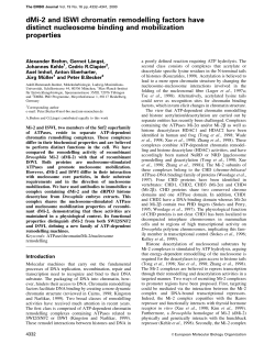 dMi2 and ISWI chromatin remodelling factors have distinct