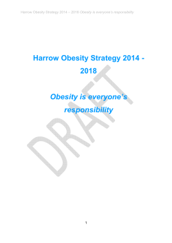 Obesity Strategy 250214 (2)