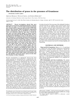 The distribution of genes in the genomes of